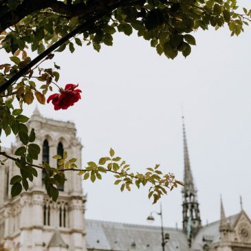 A Prayer for Notre Dame in Paris – Une Prière pour Notre Dame en Paris
