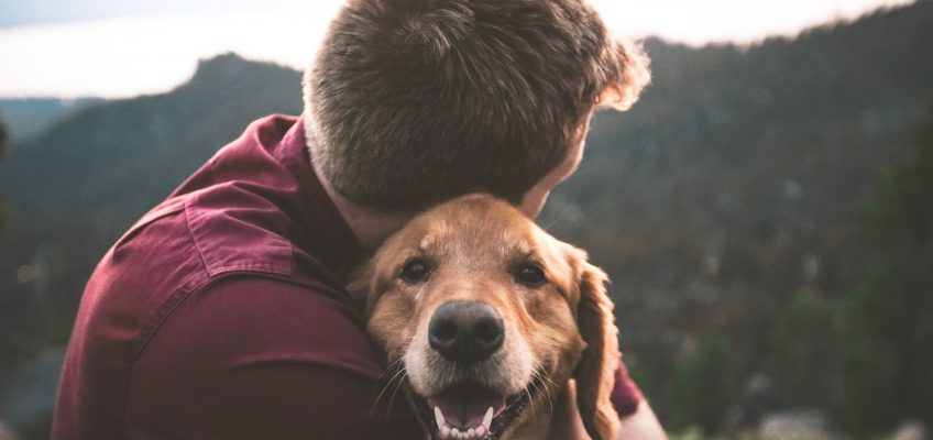 Blessing of Animals